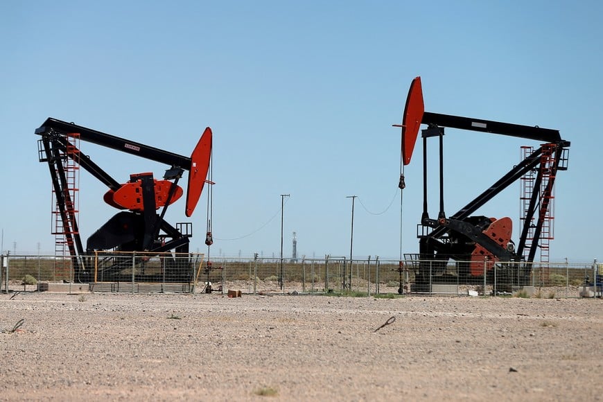 FILE PHOTO: Oil pump jacks are seen at the Vaca Muerta shale oil and gas deposit in the Patagonian province of Neuquen, Argentina, January 21, 2019.  REUTERS/Agustin Marcarian/File Photo