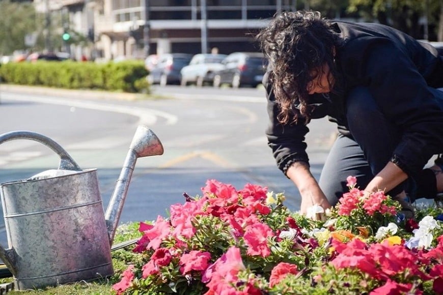 "Un jardín para pichón". Foto: Gentileza producción