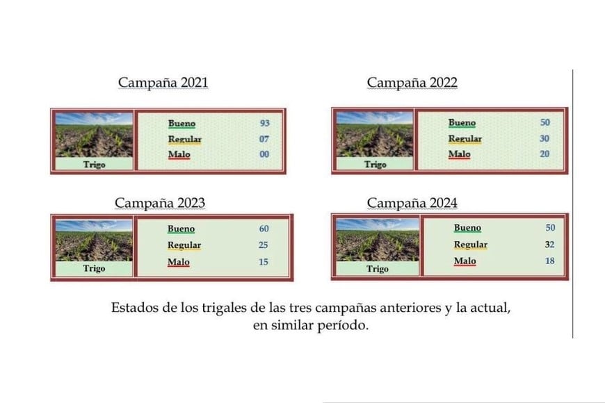 Estados de los trigales de las tres campañas anteriores.