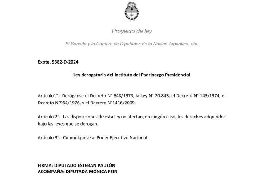 El documento presentado por Esteban Paulón y Mónica Fein.