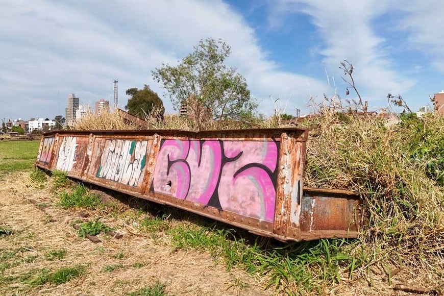 Entre yuyos y árboles, restos del Colgante que cayó en el '83 permanecen "dormidos" en terrenos ferroviarios. Foto: Fernando Nicola