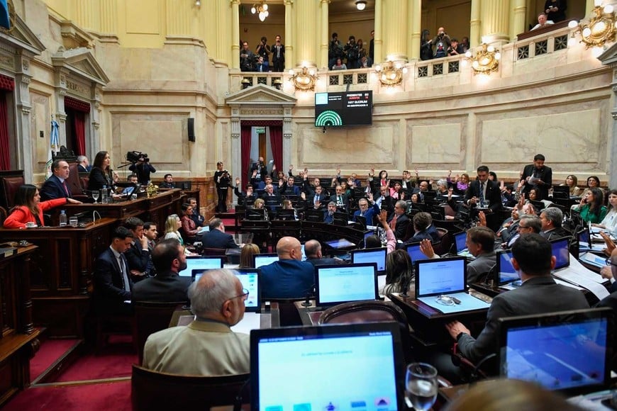 El momento de la media sanción en Senado.