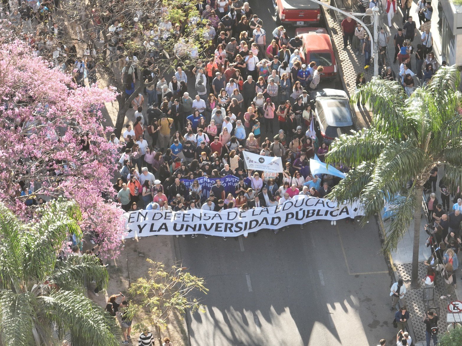 La marcha que partió del rectorado, llegando a El Molino