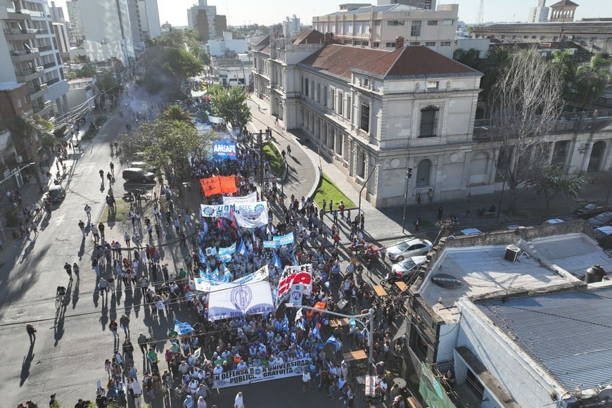 rectorado universitarios nicola