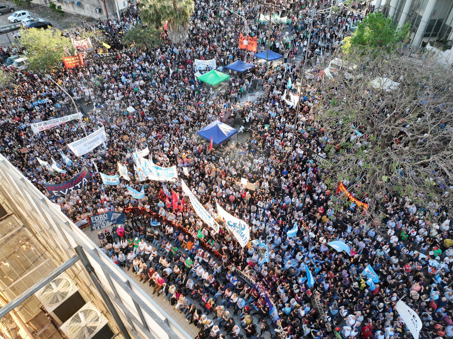 Esta imagen muestra la magnitud de la marcha