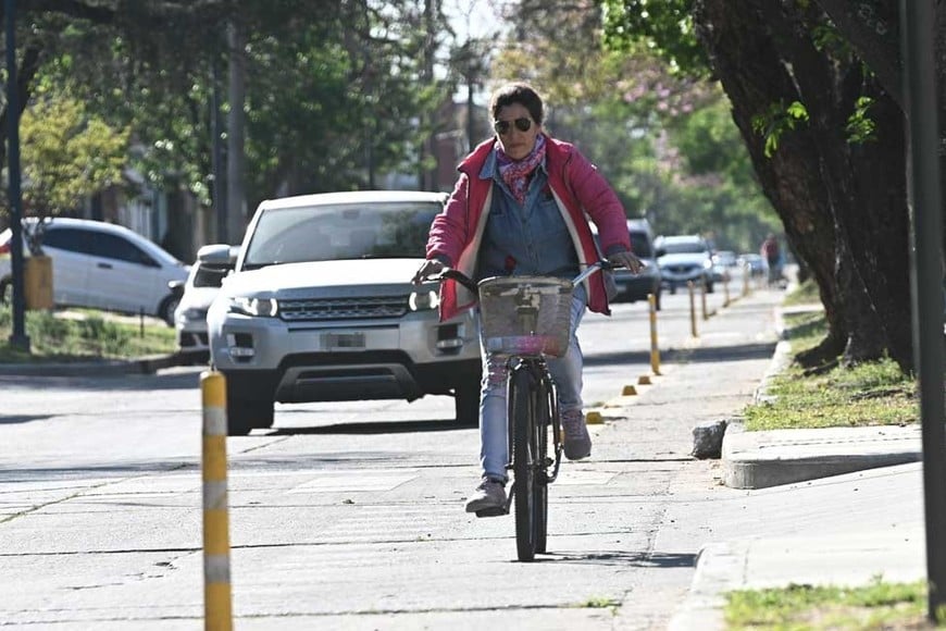 La ciclovía se armó pegada al paseo peatonal. En algunos sectores presenta fallas en el pavimento. Foto: Flavio Raina