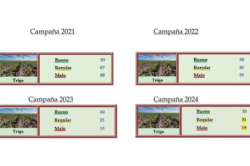 Campañas de 2021, 2022, 2023 y 2024.