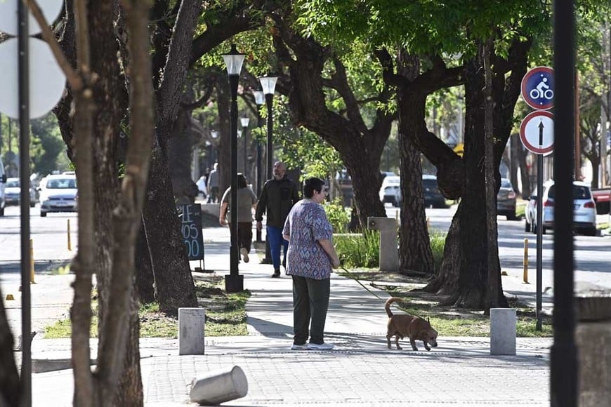 El paseo peatonal nuevo es muy utilizado por vecinos de la zona. Foto: Flavio Raina