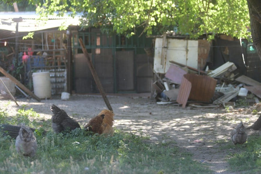 Triste postal. Un rancho muestra la crisis social en el distrito, que también se sufre en toda la ciudad.