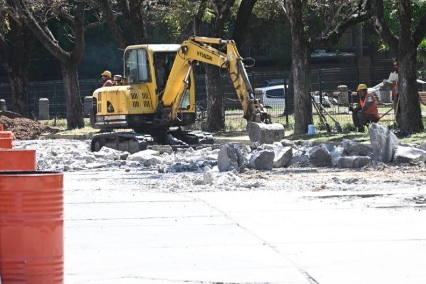 Las labores demandarán alrededor de 75 días. Se cubrirán 2.000 metros cuadrados de superficie. Flavio Raina