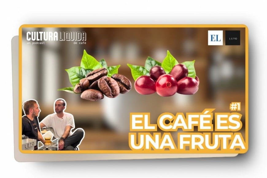 "El café es una fruta" es el título del primer episodio del podcast que se estrenará este jueves 10 de octubre.