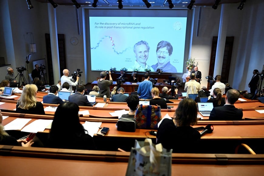 SOLNA, SWEDEN 20241007
Victor Ambros and Gary Ruvkun are awarded this year's Nobel Prize in Physiology or Medicine which was announced  during a press conference at the Karolinska Institute in Stockholm, Sweden, on October 7 , 2024. Olle Kämpe (R), who is professor of clinical endocrinology, explains their work at the press conference.
Photo: Christine Olsson / TT / Code 10430   TT News Agency/via REUTERS      ATTENTION EDITORS - THIS IMAGE WAS PROVIDED BY A THIRD PARTY. SWEDEN OUT. NO COMMERCIAL OR EDITORIAL SALES IN SWEDEN.