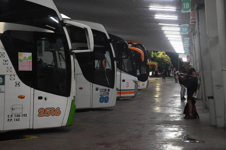 El nuevo sistema de transporte se implementará en 60 días. Créditos: Malena Rodriguez