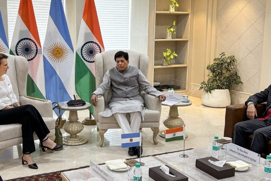 La canciller Mondino junto al Ministro de Comercio e Industria de la República de la India, Piyush Goyal, con quien repasó el estado del comercio entre los dos países.  Crédito: Cancillería Argentina