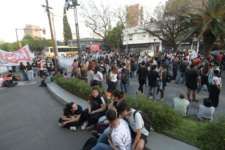 ruidazo unl Credito: Manuel Fabatía.