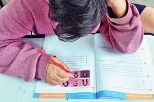 Un estudio hecho en 2018 reveló que más del 50% de los estudiantes de 15 años de edad que fueron evaluados en los países hispanoamericanos tienen dificultades significativas para comprender textos complejos. Este es un indicador de analfabetismo funcional a nivel estudiantil, que con frecuencia se traslada a la vida adulta.