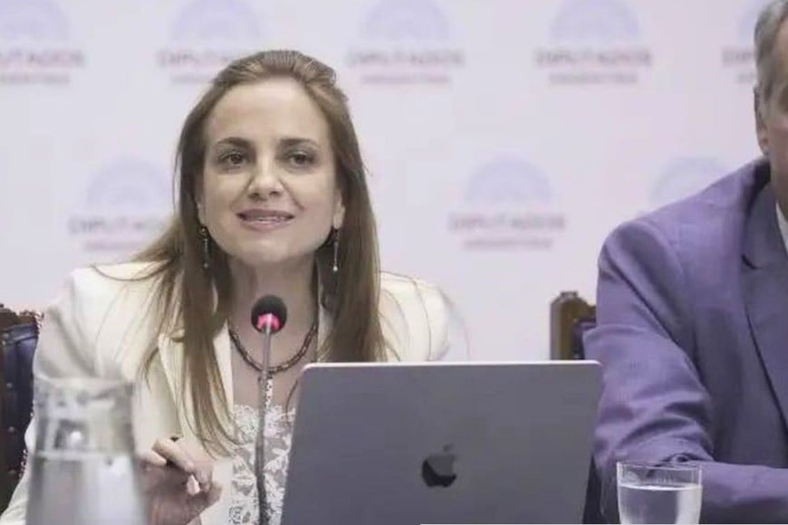 Beatriz Anchorena, titular de la Agencia de Acceso a la Información Pública, en su presentación en Diputados. Dijo que no tuvo nada que ver con el decreto restrictivo y apuntó a Rodolfo Barra. Créditos: Cámara de Diputados de la Nación