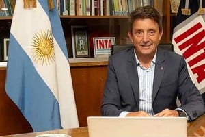 Juan Cruz Molina Hafford, ahora expresidente del Instituto Nacional de Tecnología Agropecuaria