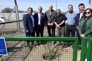 El ejemplar formará parte del futuro parque de Árboles Históricos, del que será padrino. Fernández visitó el espacio y fue recibido por autoridades locales, en representación del intendente Leonardo Raimundo, que es presidente pro tempore de la Comisión.