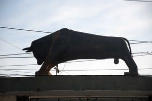 El toro de Blas Parera, es un emblema en la capital de la provincia. Foto: Manuel Fabatía