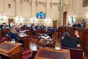 La sesión del Senado de Santa Fe sumó un tema fuera de agenda. Foto: Gentileza