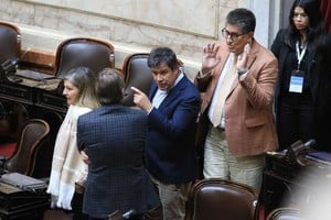 Facundo Manes, uno de los diputados radicales que armará una bancada paralela.