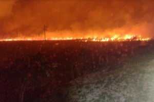 Gran extensión de campo tomó el incendio de esta noche entre la Ruta y la Autopista. Crédito: Fabián Chesa.