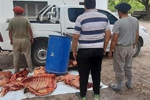 En Huanqueros, personal de la unidad operativa interceptó una camioneta Toyota Hilux que trasladaba aproximadamente 400 kilogramos de carne vacuna de procedencia no declarada.