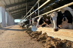 Milkynet, "el primer tambo 4.0 de Argentina",  combina tecnología de vanguardia, robótica y genética aplicada, con un sistema estabulado que garantiza el máximo confort animal, lo que la coloca como un referente en innovación dentro de la producción lechera.