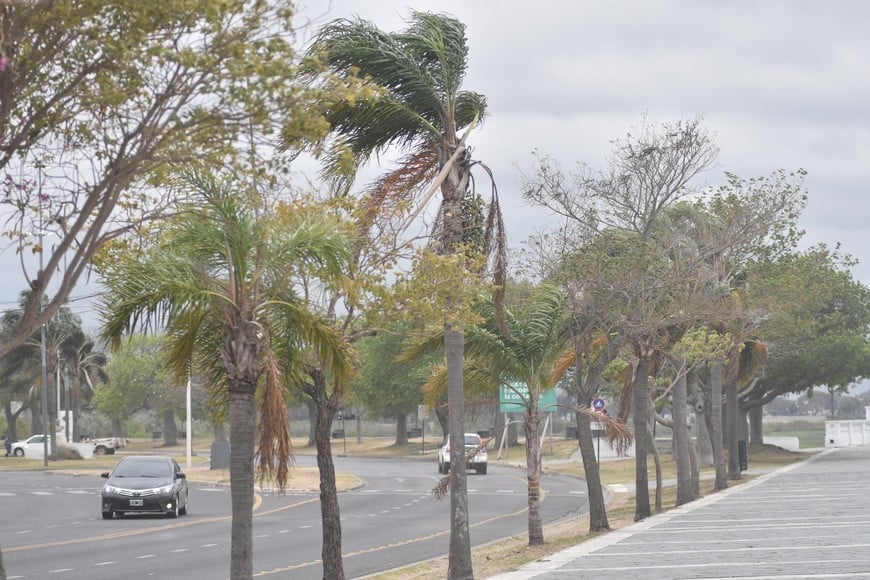 “Las tormentas vienen con ráfagas de viento cada vez más intensas”, dijo el director de Gestión de Riesgo, Mariano Cabal.