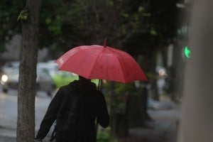 Lluvia. Las estaciones meteorológicas municipales permiten no sólo medir el agua caída, sino monitorear presión atmosférica, intensidad del viento y humedad, entre otros factores.