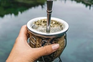 Según datos del Instituto Nacional de la Yerba Mate, entre enero y septiembre los argentinos demandaron 193.430.327 kilos de yerba mate, contra 211.913.639 en igual período de 2023.