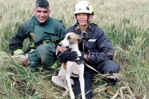 Con la sonrisa de satisfacción del deber cumplido, los bomberos de Barrancas posan con su amigo rescatado. Crédito: Bomberos Voluntarios Barrancas.