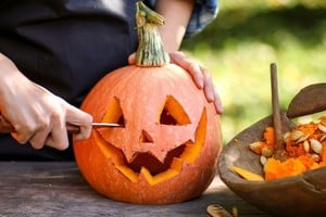 En Estados Unidos, se aprovecha el interior para preparar platos típicos a base de calabaza, como pasteles o galletas.