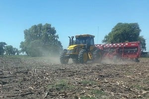 Lote con rastrojo de maíz tardío; en pleno proceso de siembra de soja temprana, en el centro del departamento Castellanos.