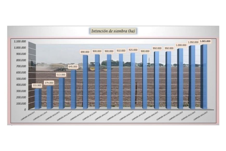 Evolución histórica de la intención de siembra de soja de primera en el centro norte provincial.