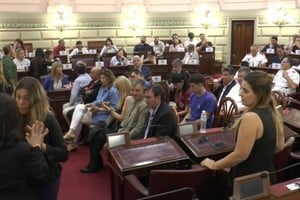 Diputados santafesinos homenajearon a deportistas y personal de salud.