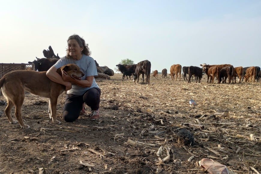 Con sus animales, en su pequeño campo en las afueras de Irigoyen.