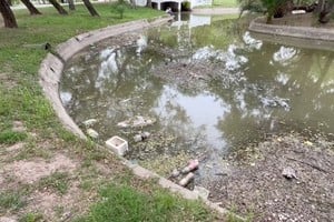 Una vecina del Parque Garay, denunció el abandono del lugar y destacó la necesidad urgente de medidas para recuperar su riqueza natural.