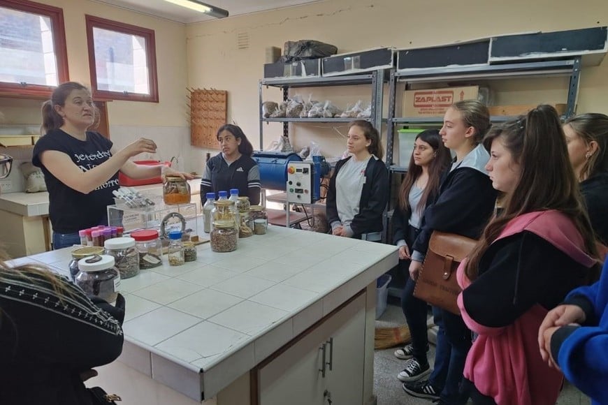 Luego de todo ese trabajo previo, en el mes de junio se realizaron los primeros encuentros con alumnos de 4º y 5º año de los núcleos rurales, logrando un ambiente de trabajo activo, dinámico y motivador.