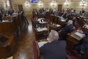 La Cámara de Senadores tiene en carpeta un proyecto de  ley de declaración de la necesidad de la reforma parcial y hay otros seis en Diputados. Foto:  Luis Cetraro