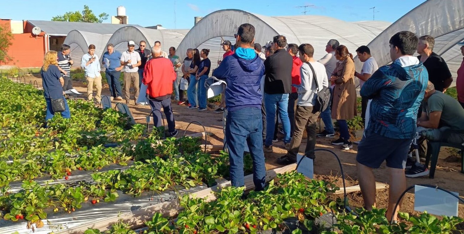 A diferencia de Arroyo Leyes, donde la normativa obliga a una transición agroecológica, en Coronda todavía no hay una legislación semejante. “Pero desde el INTA nos estamos adelantando", dijo Sordo.