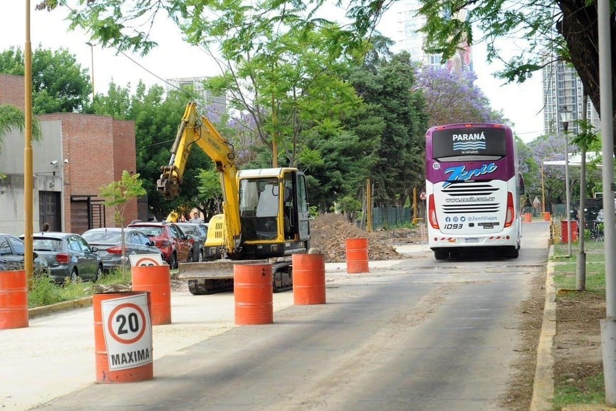 “No nos podemos quedar sin dársenas. Y la terminal debe seguir funcionando”, declaró a este diario Rosario Alemán.