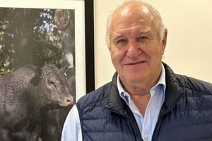 Para Víctor Tonelli, "el consumo de carne vacuna por habitante y por año de la Argentina va a caer estructuralmente o seguir cayendo en el ritmo que viene cayendo".