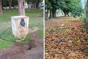 “Imagen 1: canilla a punto de asfixiarse. Imagen 2: hojas que solo ensucian y cama de insectos malignos”: una lectora pide la puesta en Valor del Jardín República del Líbano.