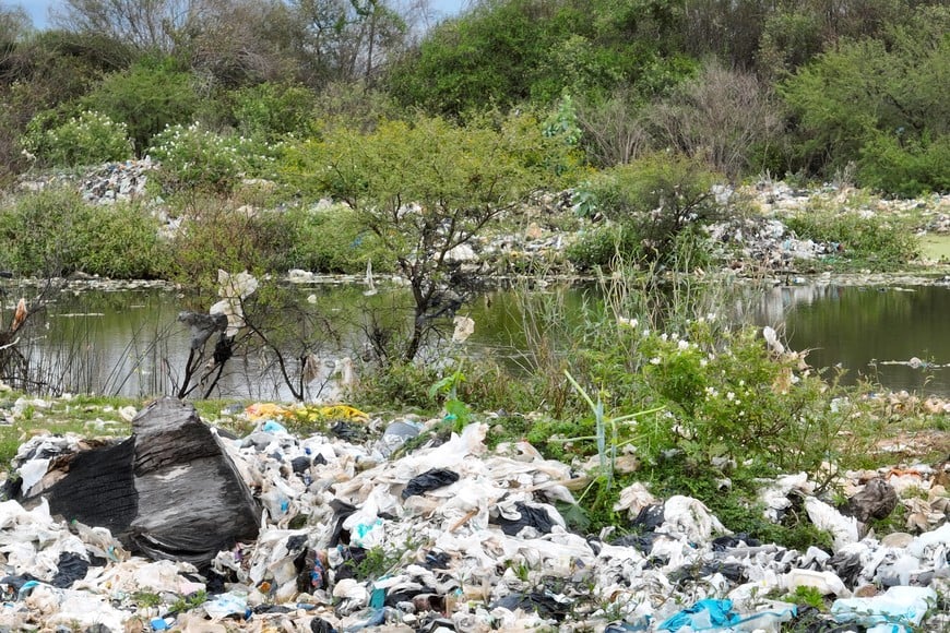 Un basural a cielo abierto contaminando la laguna Setúbal.