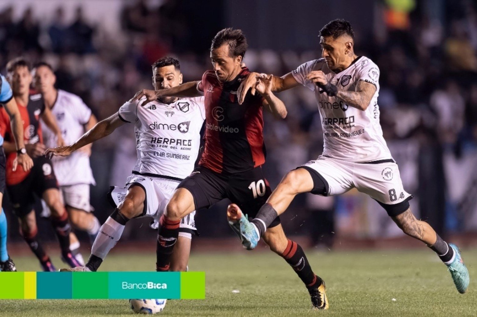 Galería BICA: Colón VS All Boys. Foto: Matías Napoli