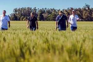 Los participantes tendrán la oportunidad de recorrer cultivos en diferentes localidades clave de la región centro, oeste y sur de la provincia de Buenos Aires, más el este de La Pampa.