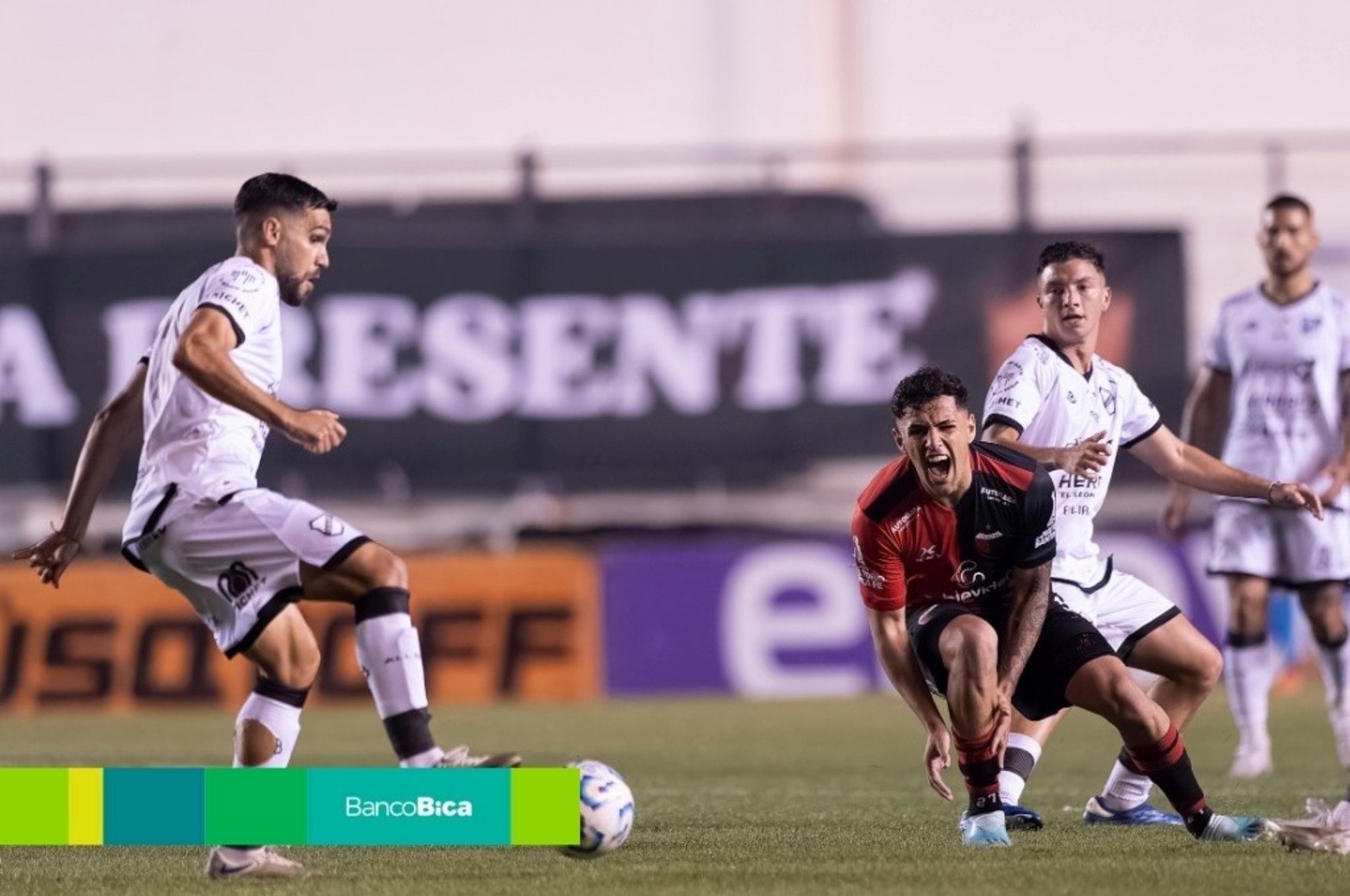 Galería BICA: Colón VS All Boys. Foto: Matías Napoli