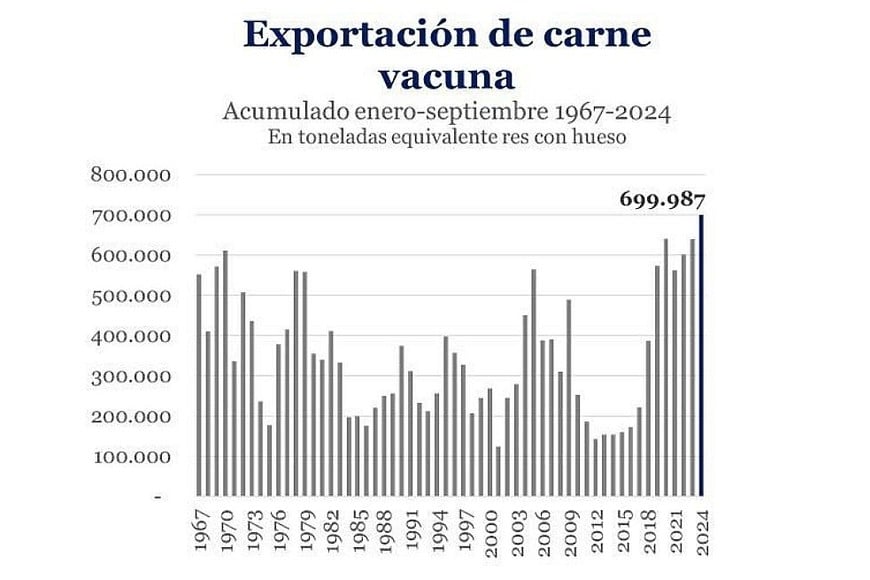 Por el lado de los productos exportados, el 16% fueron cortes enfriados y el resto cortes congelados con y sin hueso.